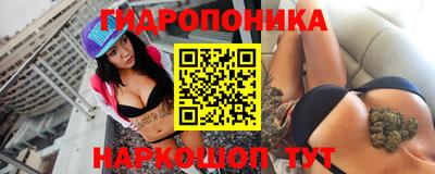 стаф Кулебаки